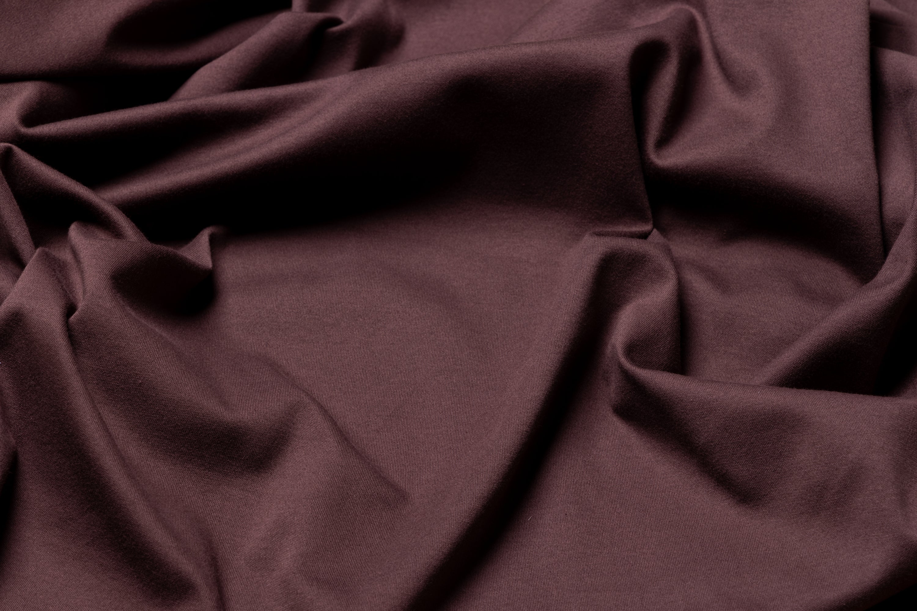 Bay Polo in Burgundy